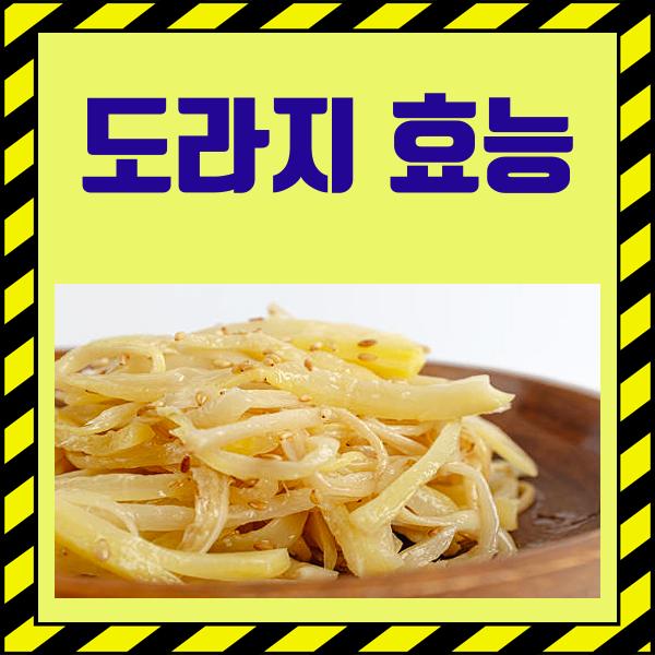 도라지