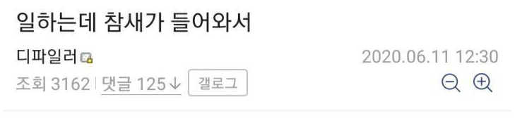  일하는데 참새가 들어와서