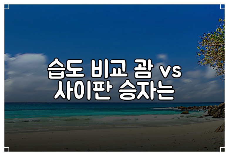 습도 비교 괌 vs 사이판 승자는