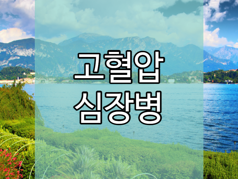  고혈압 심장병 음식 섭취 법! 1일 2식