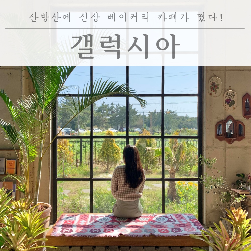  산방산에 신상 베이커리 카페가 떴다! "갤럭시아"