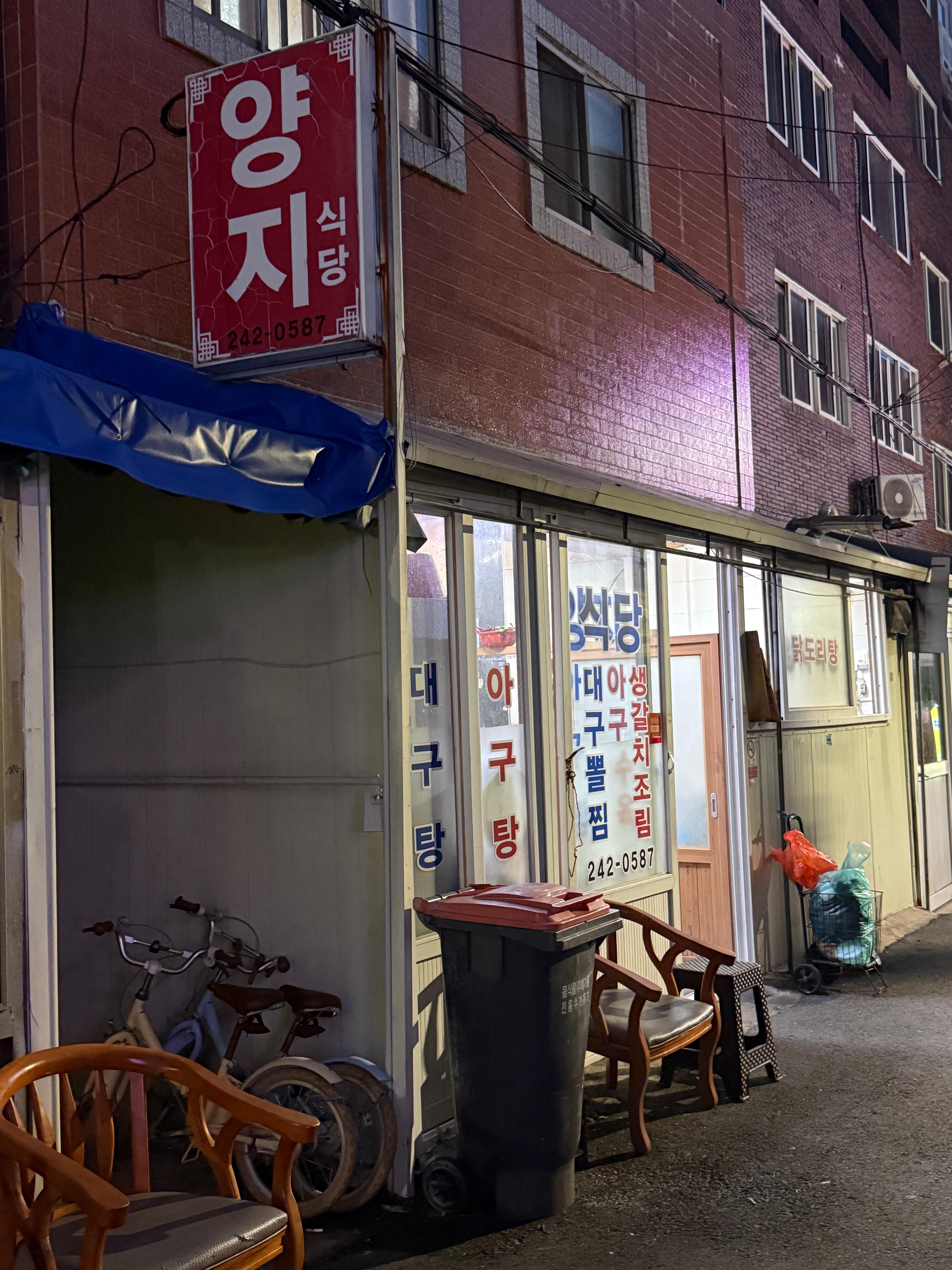 양지 사진 3