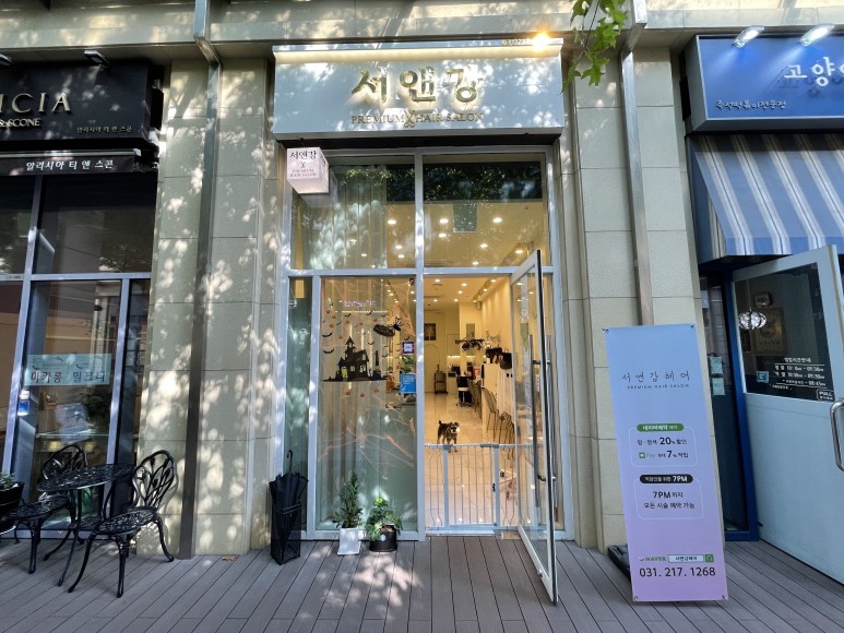 발레아주 색감 미쳤다 광교 미용실 애쉬그레이 2