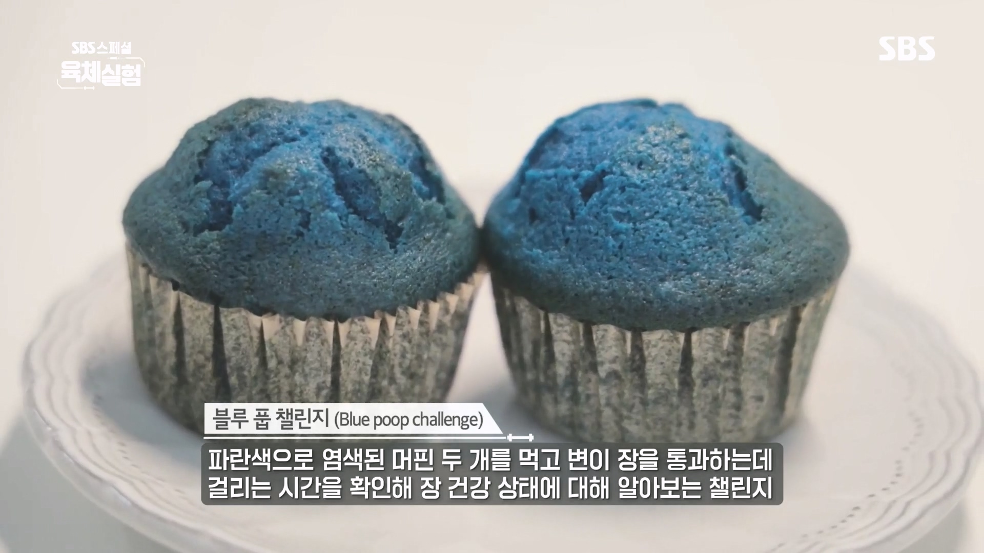 SBS 스페셜.E655.231015p.H264-F1RST.mp4_20231016_202046.678.jpg