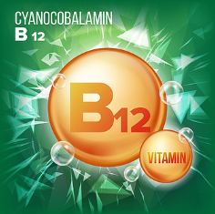 비타민B12