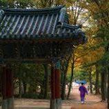 5. 경기도 당일치기 여행 추천 Best 7 : 용인 한국민속촌 