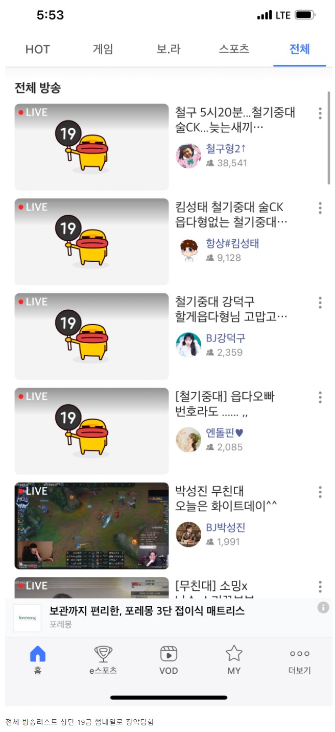 스트리슈