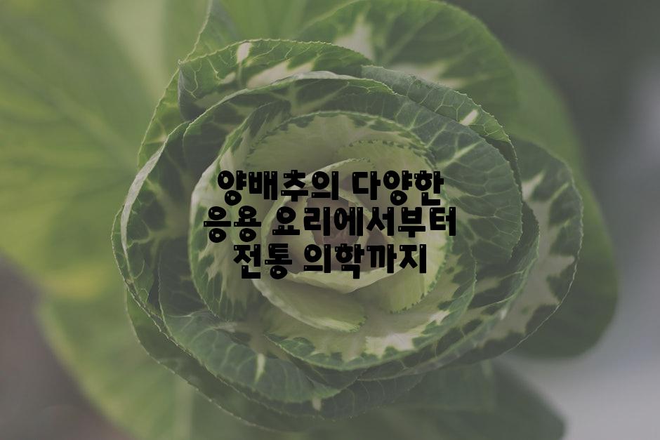 양배추의 다양한 응용 요리에서부터 전통 의학까지