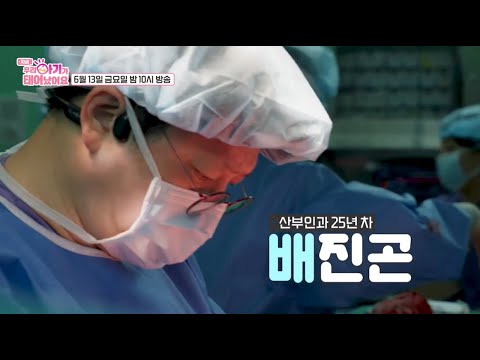 배진곤 교수