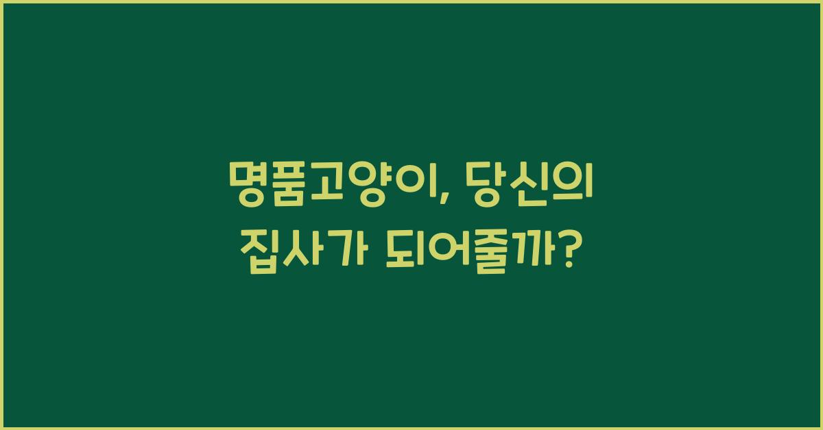 명품고양이