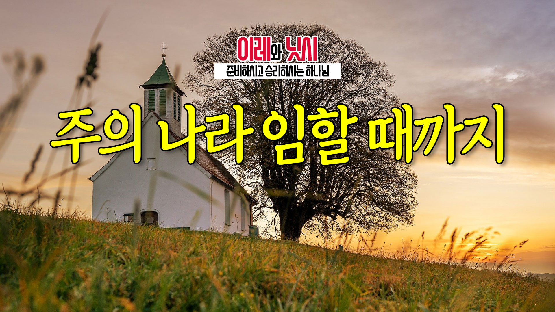 (주)나라**** 이미지