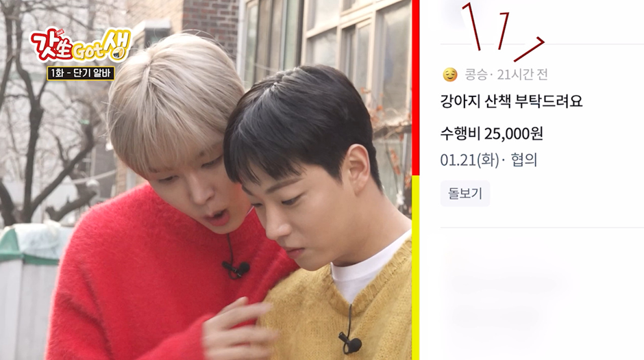 요즘 강아지 산책 한번 시켜주고 받는 비용...jpg | 인스티즈