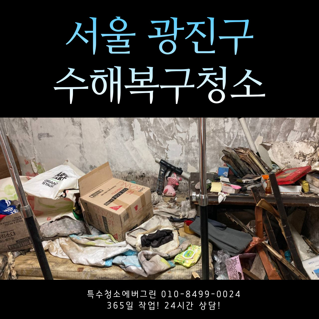  서울 광진구 강동구 반지하 수해복구청소 후불 비용 카드 결제 가능