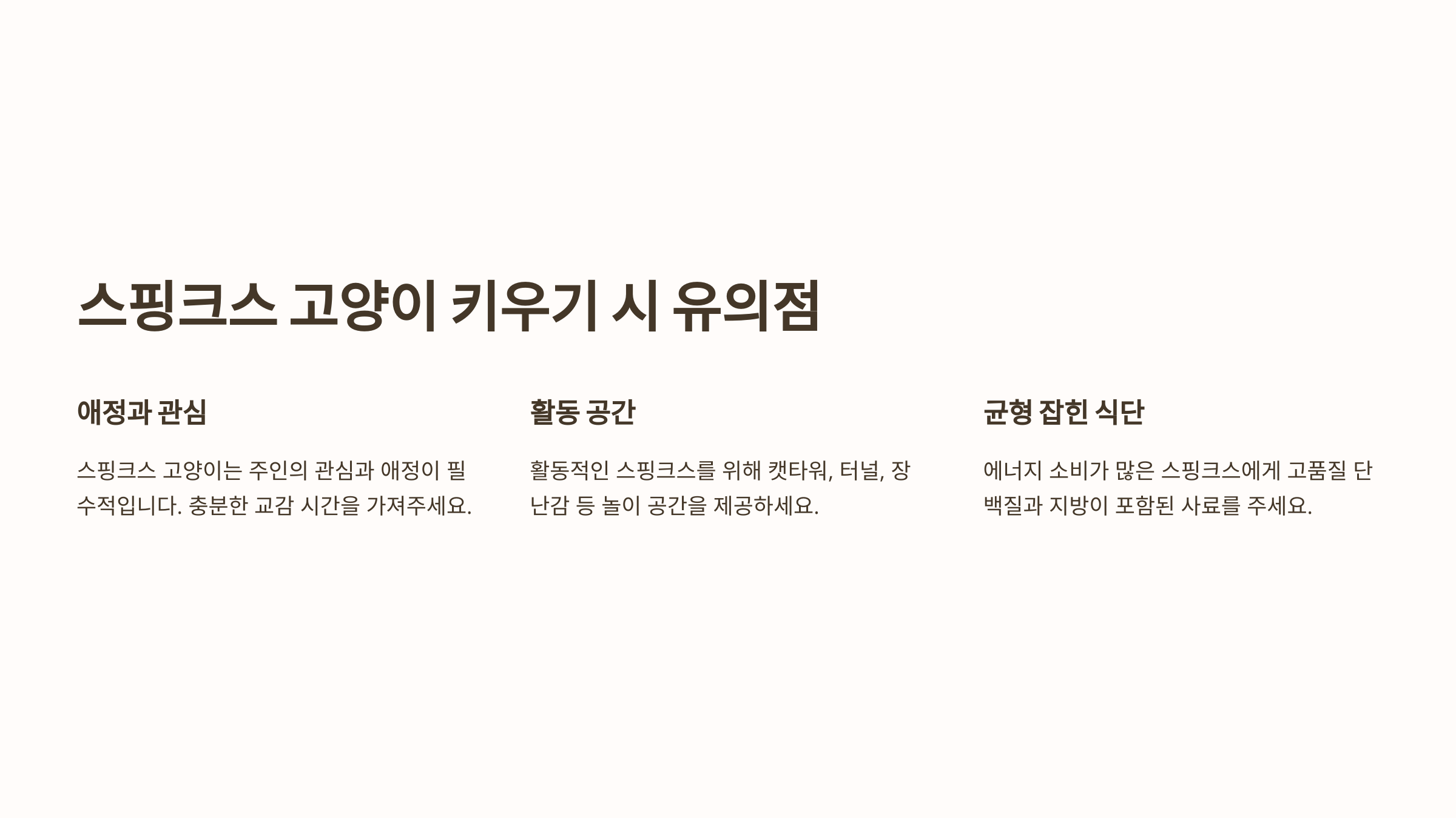 스핑크스 고양이 사진입니다.