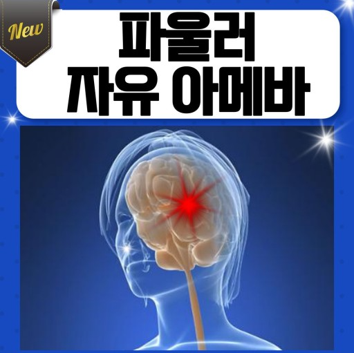  "뇌 먹는 아메바" 국내 상륙 비상
