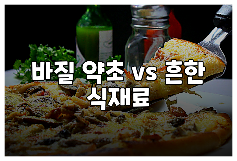 바질 약초 vs 흔한 식재료