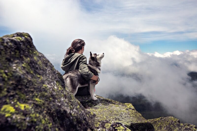 높은 바위산에 올라 앉아있는 허스키 강아지와 사람 사진