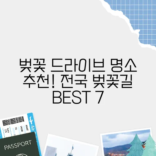 벚꽃 드라이브 명소 추천! 전국 벚꽃길 BEST 7