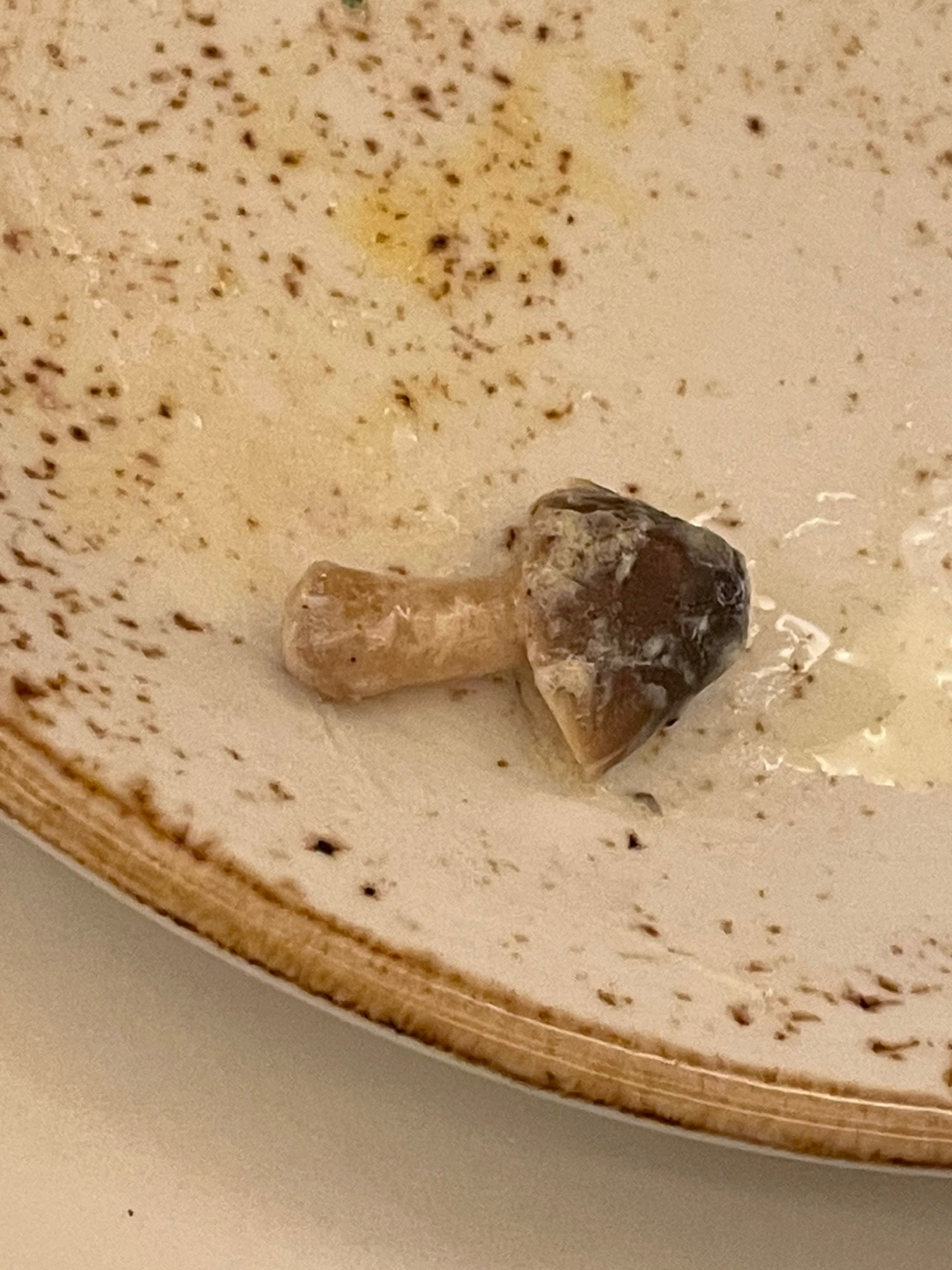 ebt(이비티) 이미지
