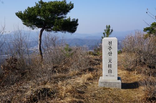 천주산 정상에 타조 닮은 소나무 한그루&#44; 흰색 대리석에 새긴 천주산 天柱山 정상석