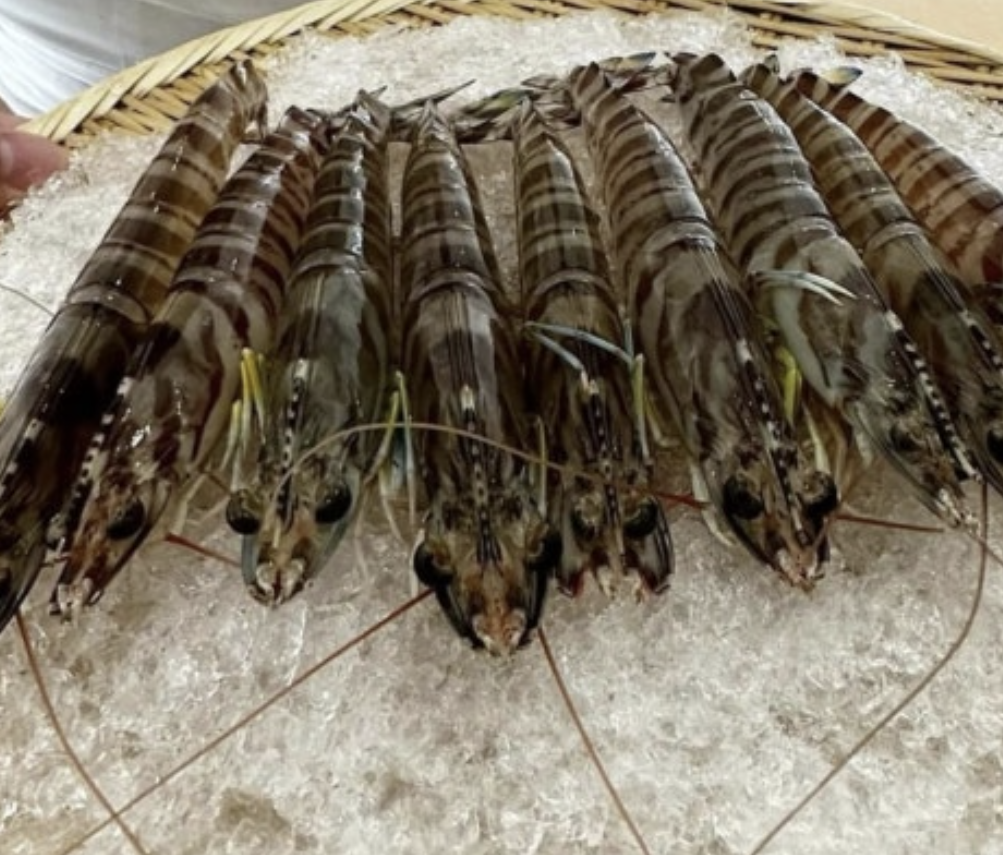 이광우 셰프 사토시 오마카세