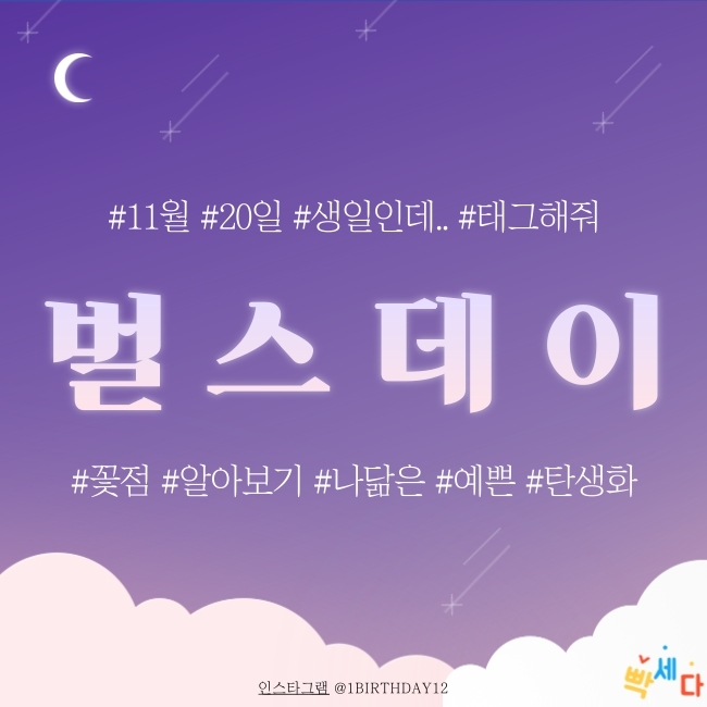  11월 20일은 무슨 날? 탄생화 탄생석 탄생목 11월 20일 탄생화는 뷰글라스 꽃점과 꽃말로 하루를 행복하게