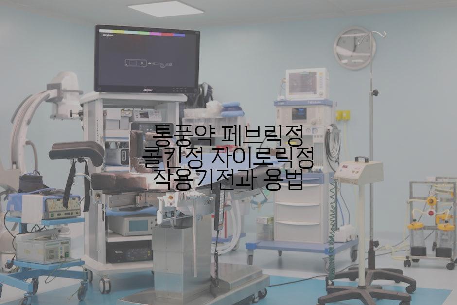 통풍약 페브릭정 콜킨정 자이로릭정 작용기전과 용법