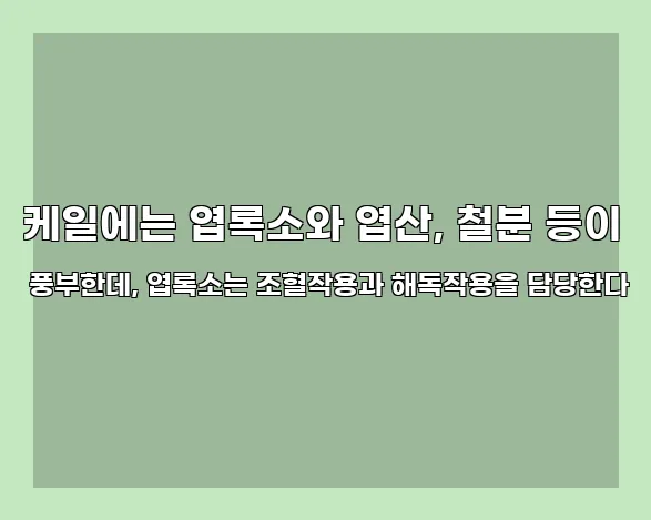 케일에는 엽록소와 엽산, 철분 등이 풍부한데, 엽록소는 조혈작용과 해독작용을 담당한다