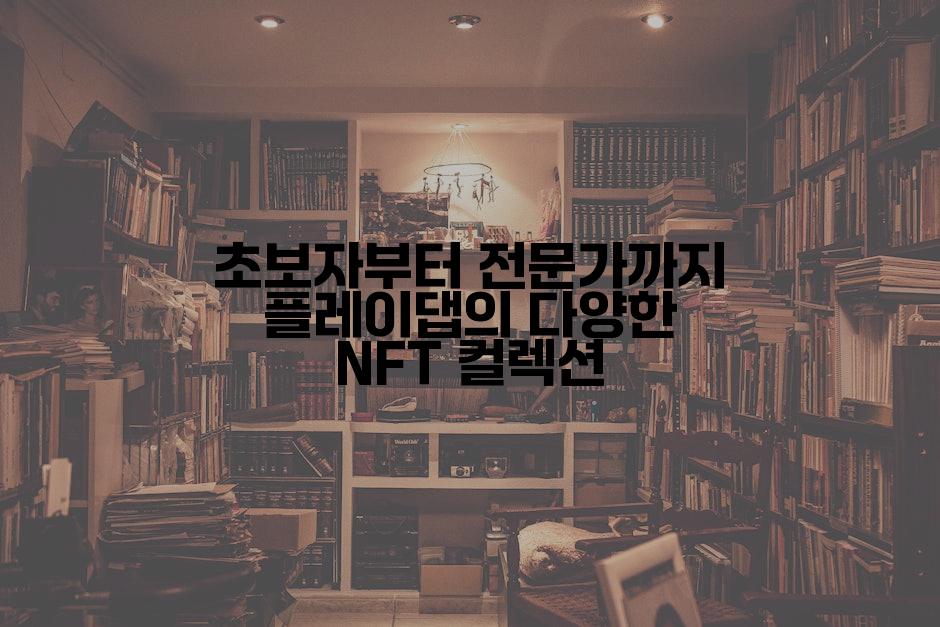 초보자부터 전문가까지 플레이댑의 다양한 NFT 컬렉션