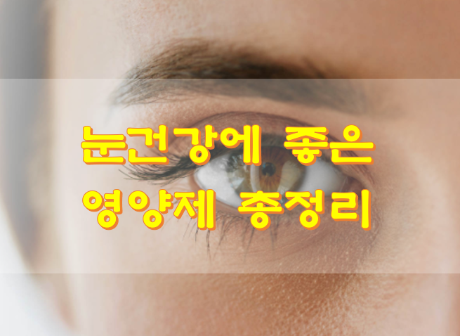  눈건강에 좋은 영양제 총정리