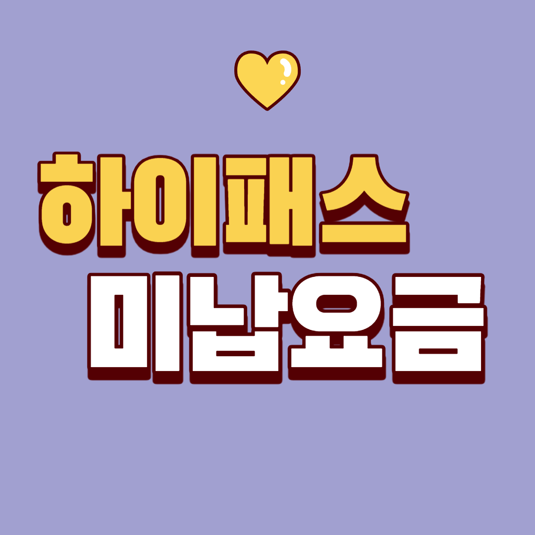 하이패스 미납요금