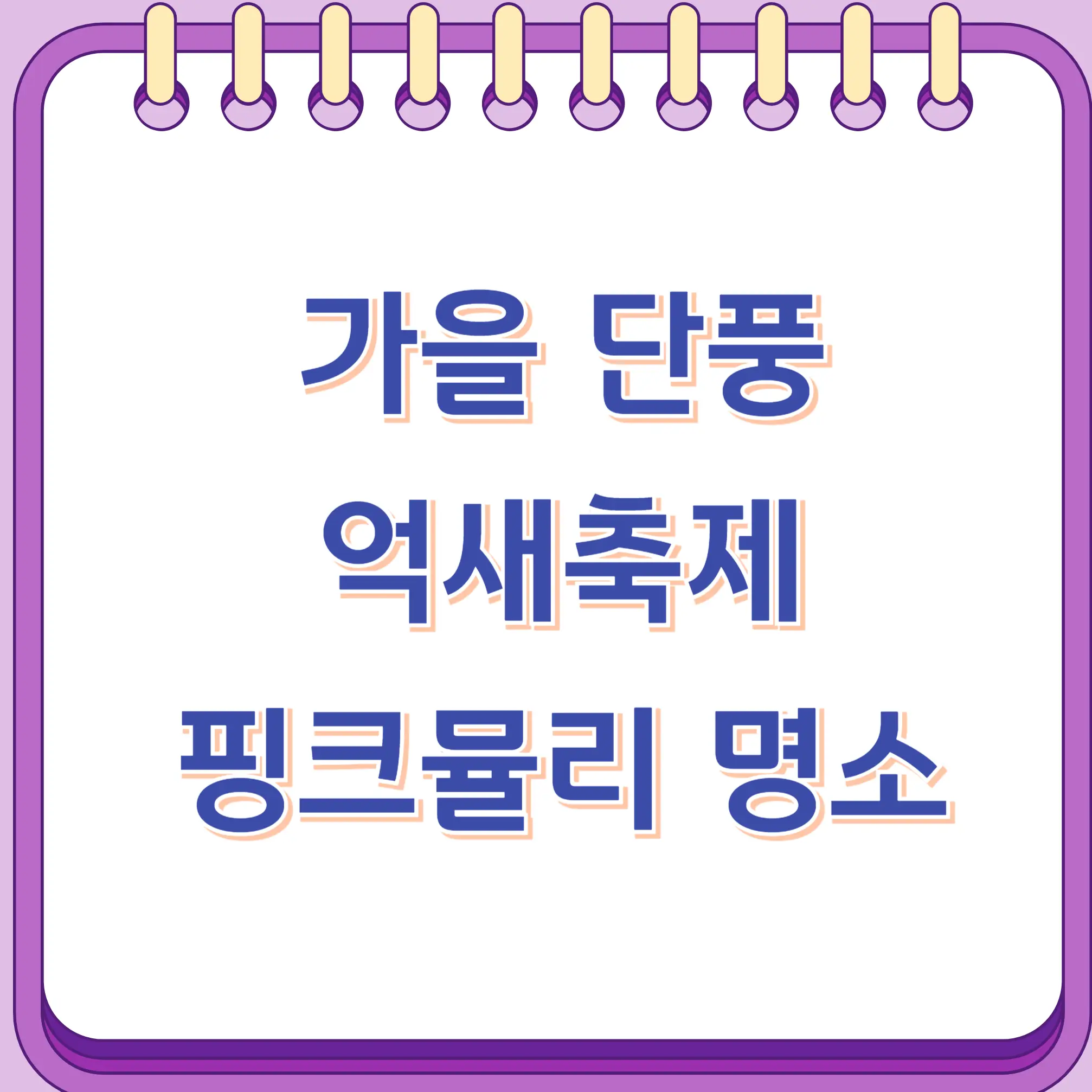 가을 단풍 억새 핑크뮬리 명소 추천