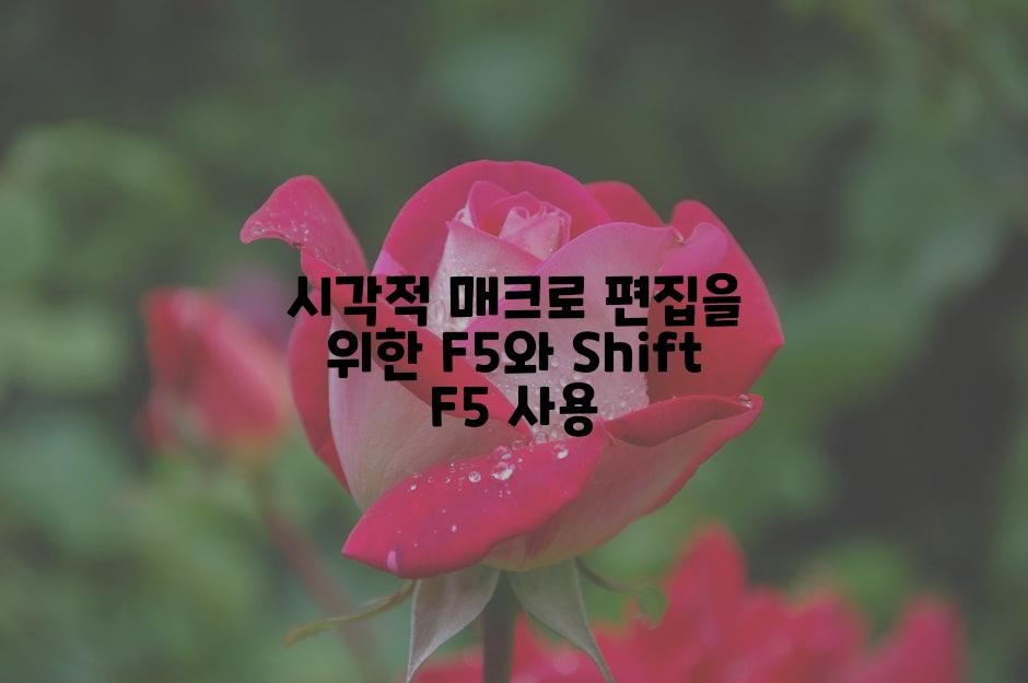 시각적 매크로 편집을 위한 F5와 Shift F5 사용