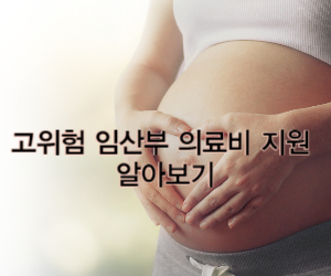 고위험 임산부의료비 지원