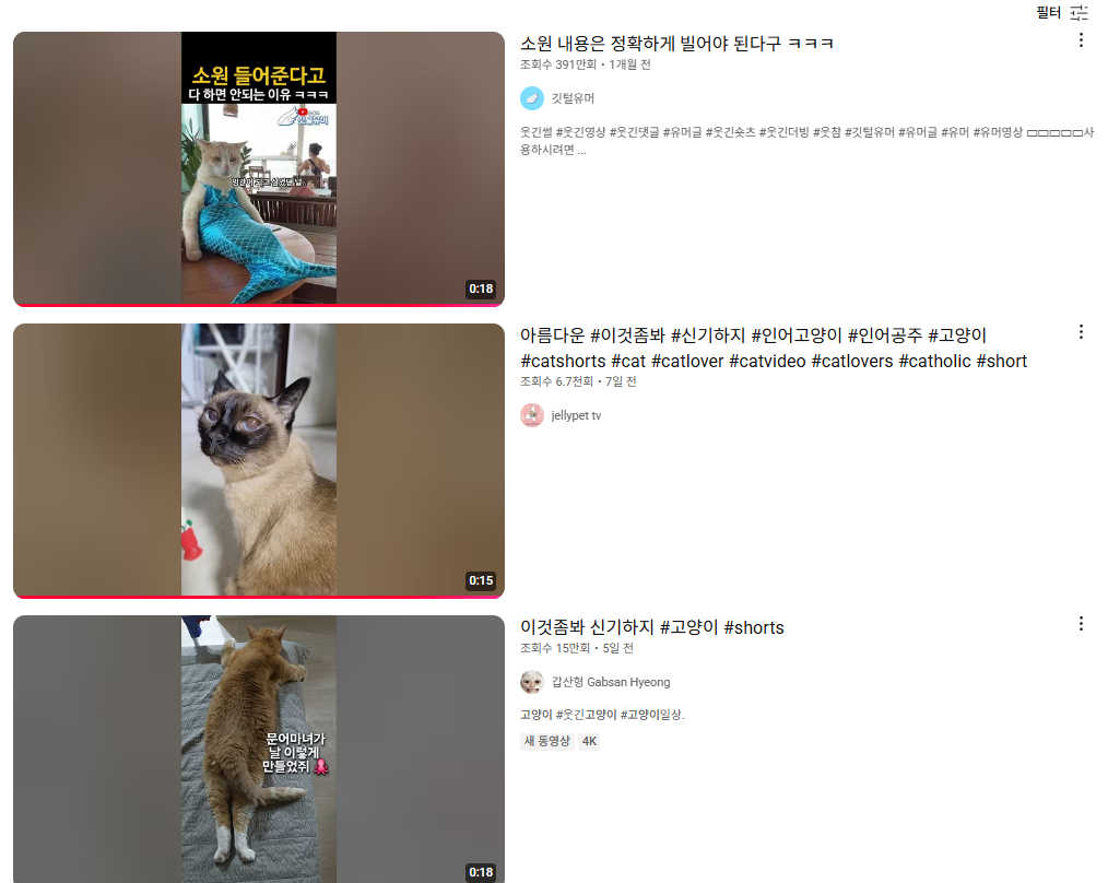 이것좀봐 신기아지 고양이 문어마녀가 결과