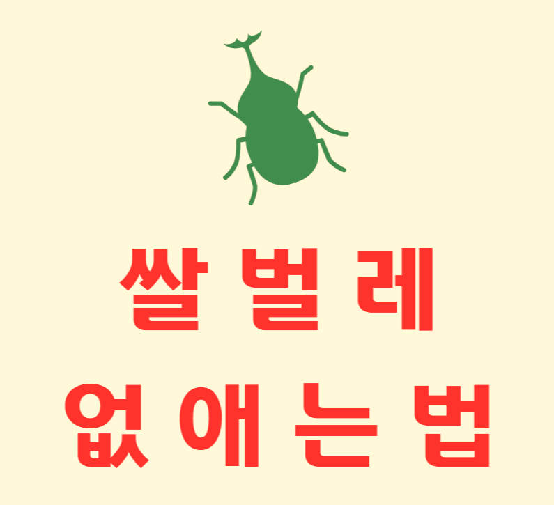  쌀벌레 없애는법 7가지