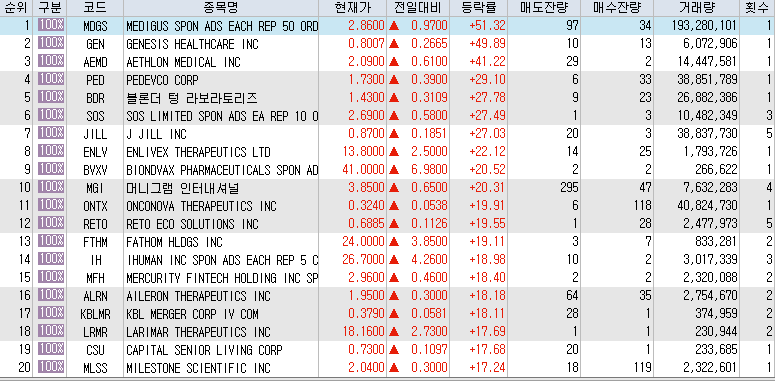  10월13일 미국주식 상승률 상위 종목 TOP 100
