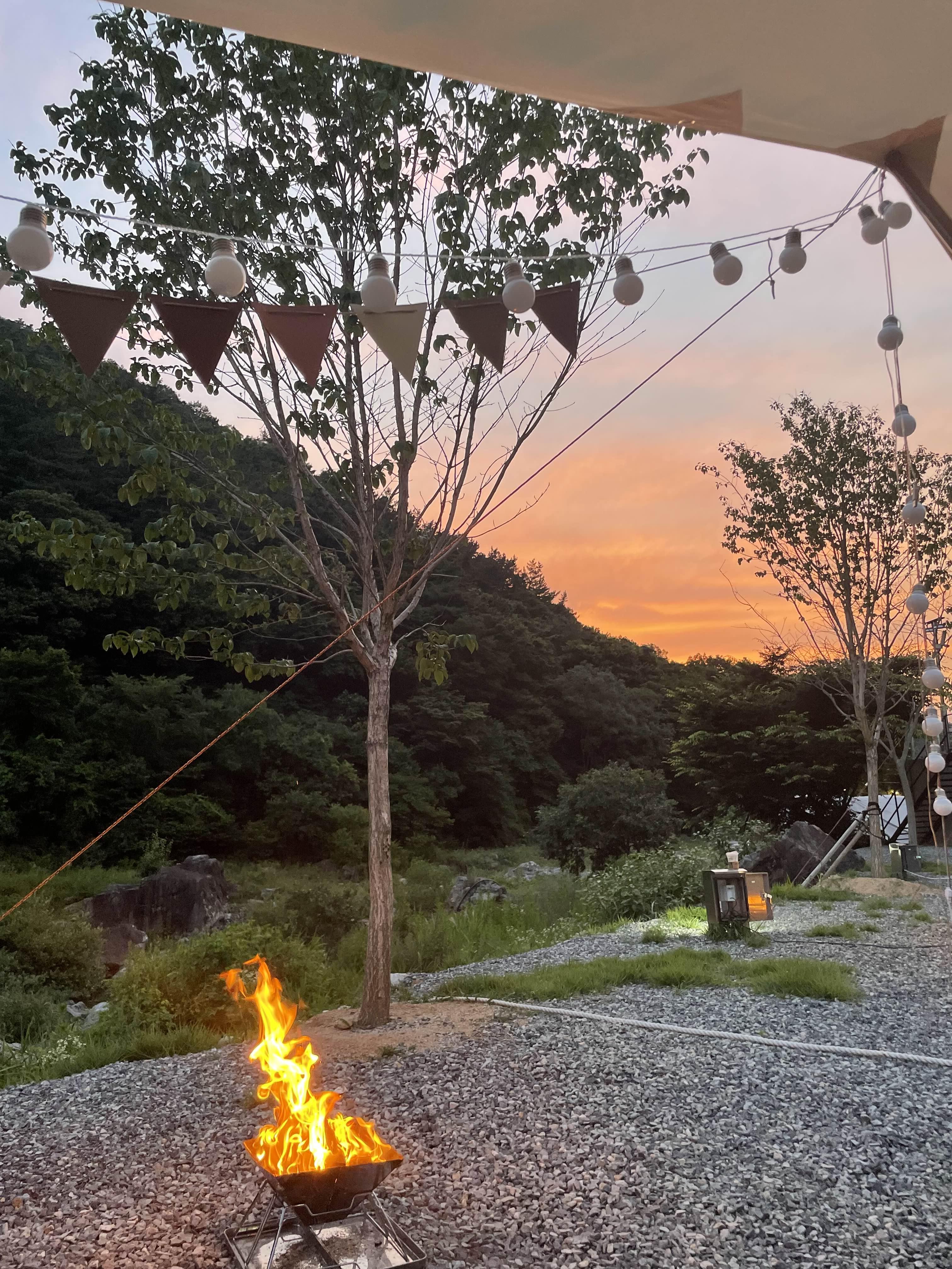  대구 근교 오토 캠핑장 경북 청도 내를 건너서 숲으로