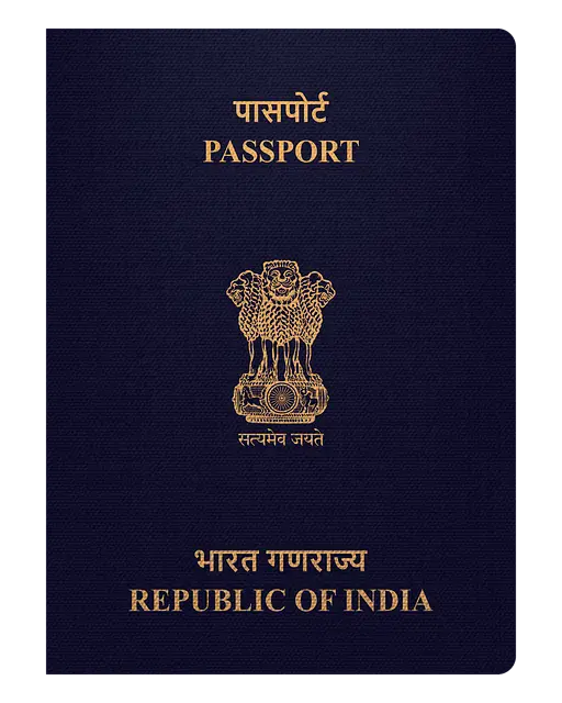여권 재발급 온라인