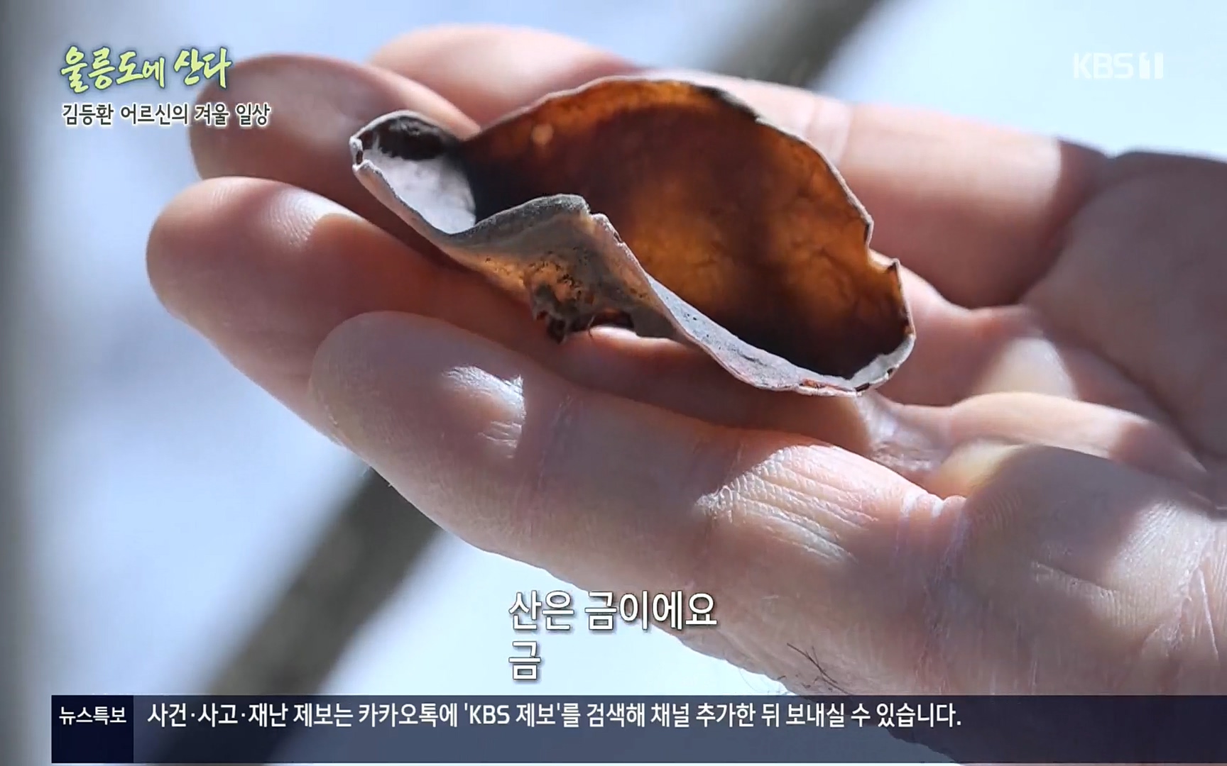 다큐울릉도에산다.E01.220909p.H264-F1RST.mp4_20220912_180352.117.jpg