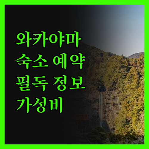 와카야마 숙소 예약 전 필독 가성비 