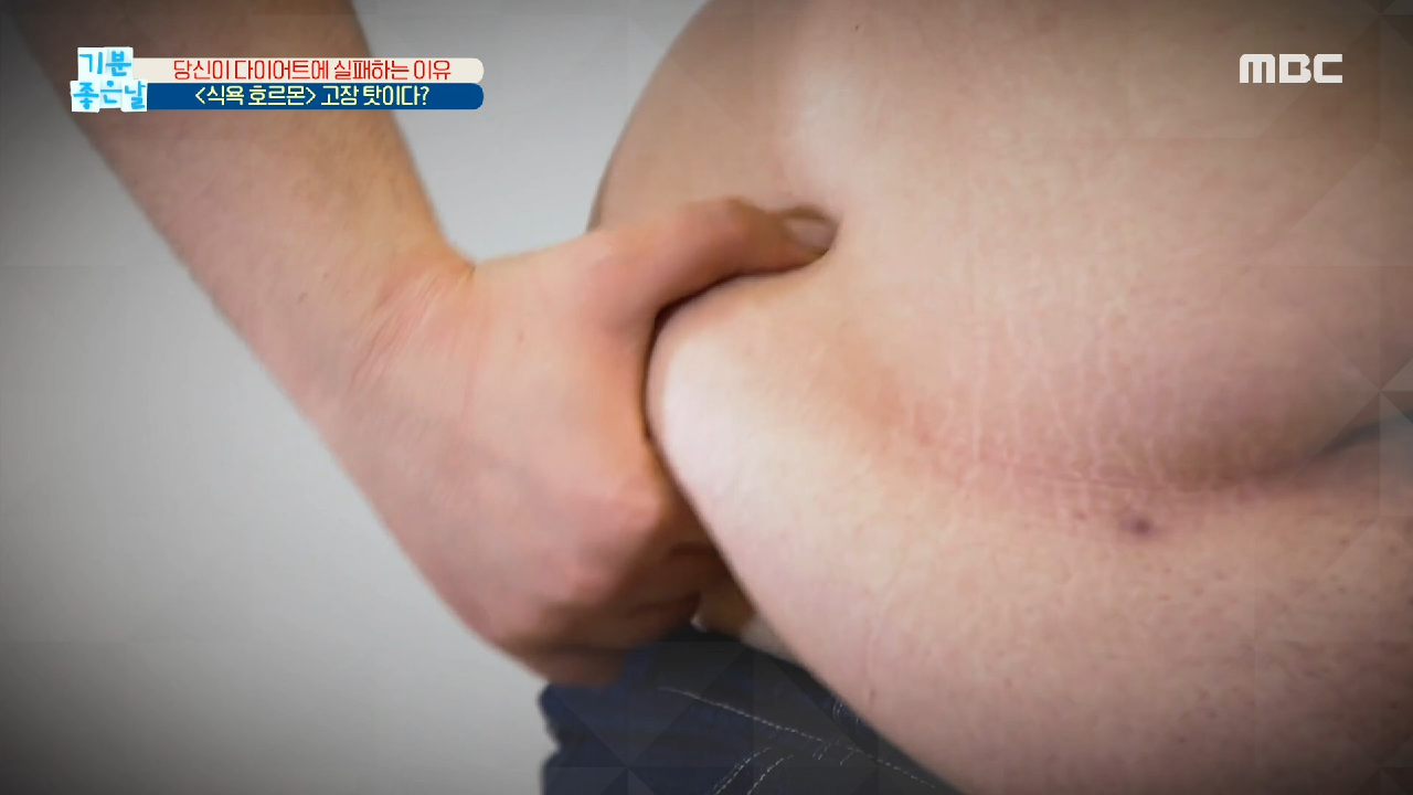  기분 좋은 날 다이어트 정체기 해독 오토파지 주스 효능 효과 해독차 오구차 오미자 /구기자 효능 효과 식욕 /렙틴 /아디포넥틴 호르몬 억제 니트 다이어트 유산소 운동 줄넘기 다이어트 실패 ..