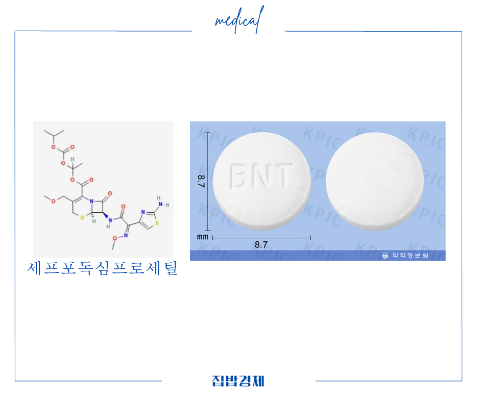 바난정 제형 및 성분