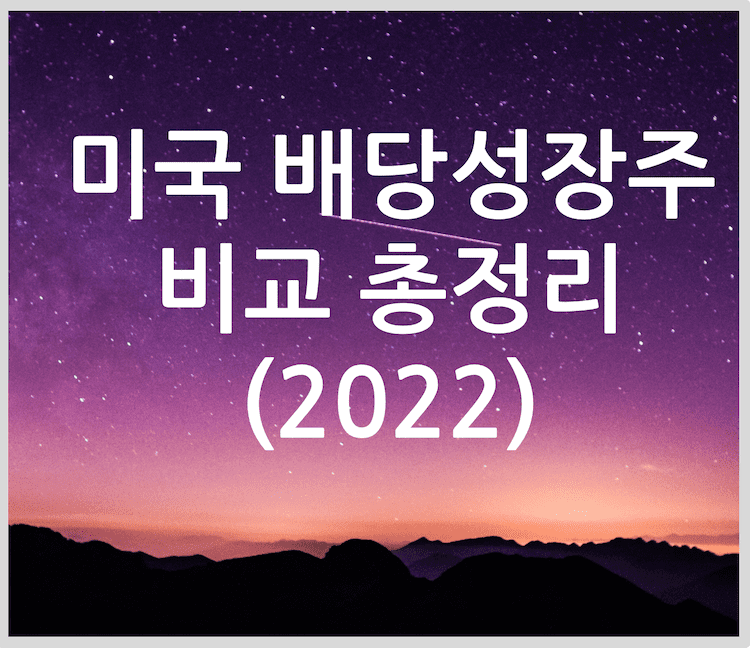 제목: 미국 배당성장주 비교 총정리 (2022)