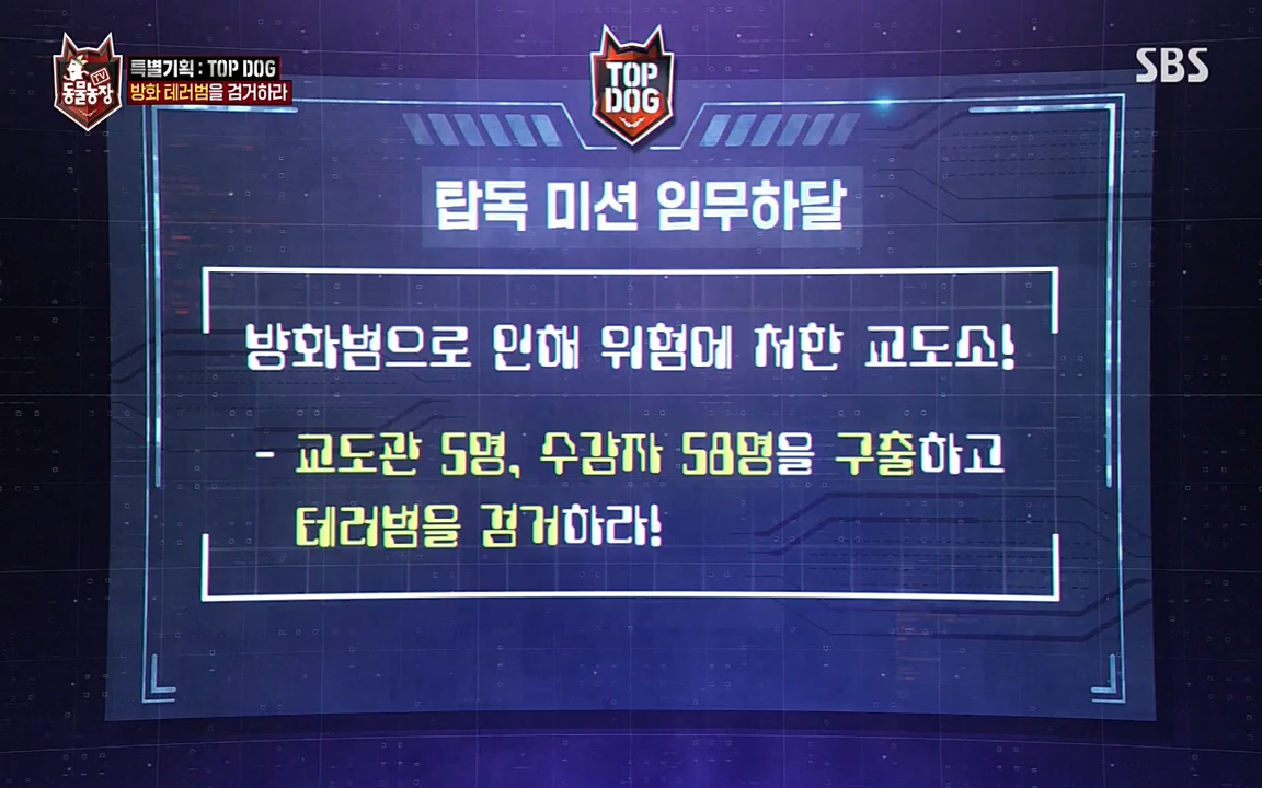 TV 동물농장.E1085.220905p-NEXT.mp4_20220904_173601.366.jpg