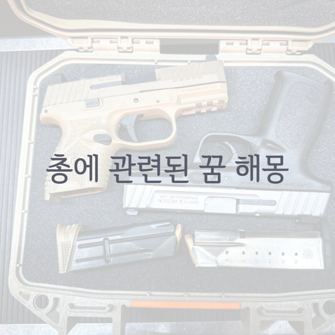 총에 관련된 꿈 해몽