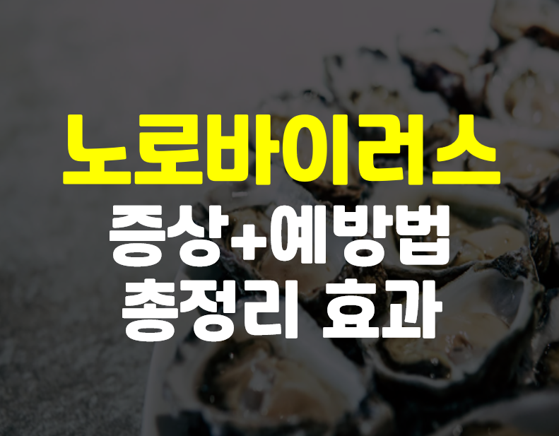  노로바이러스 증상 및 예방 방법 총정리