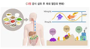 백혈구 수치가 낮은 이유