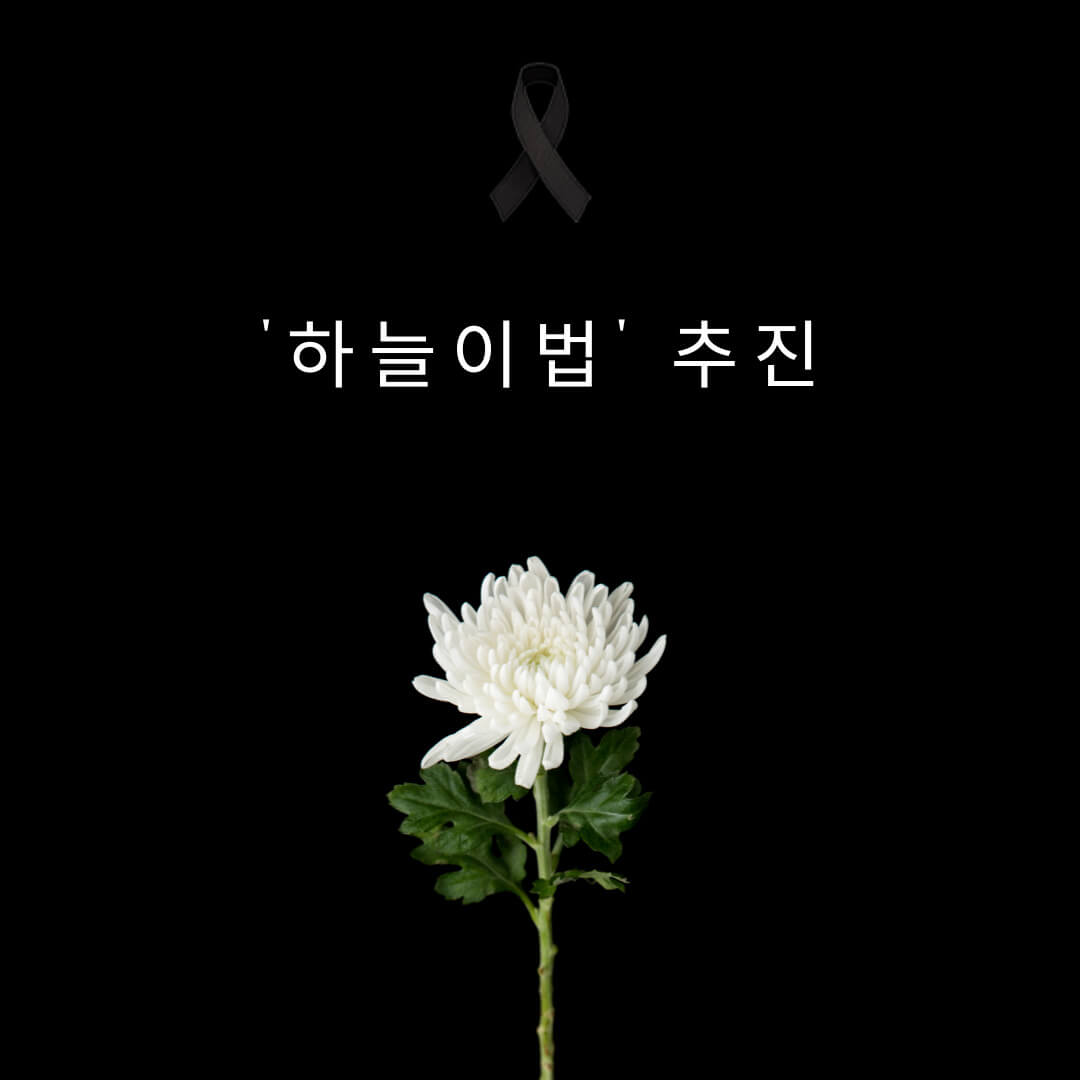 하늘이법 추진