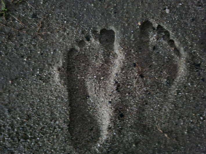 맨발걷기-발자욱-사진
